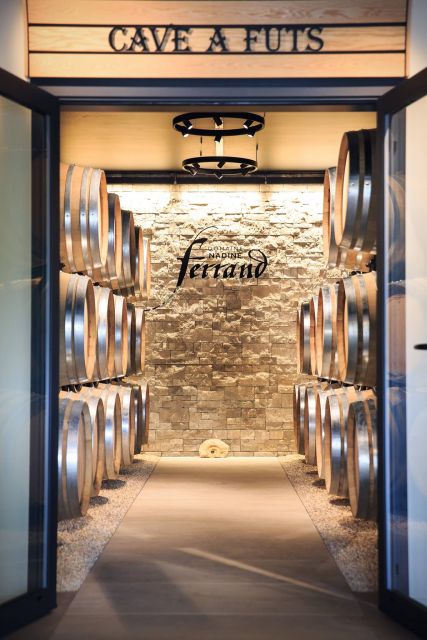 Mason: Visit and Tasting of the Estate's Wines - Comparing This Tour to Similar Experiences