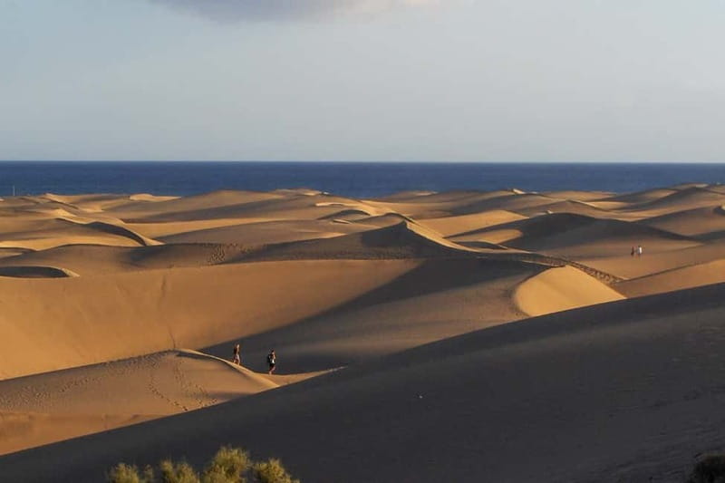 Maspalomas: 1 Hour Segway Sightseeing Tour - The Role of the Local Guide and Tour Pacing