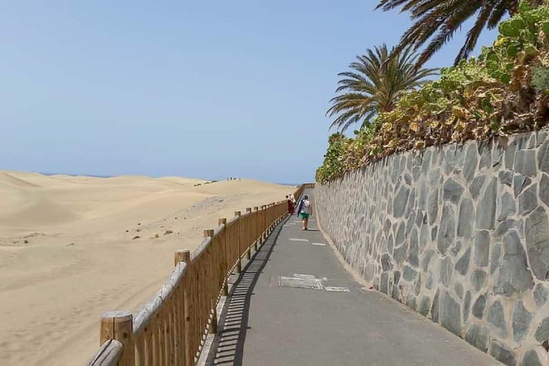 Maspalomas: 1 Hour Segway Sightseeing Tour - Price and Booking Flexibility