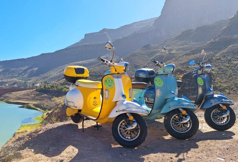 Maspalomas and Las Palmas: electric vintage scooter for rent - Physical and Licensing Requirements
