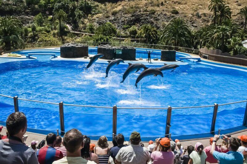 Maspalomas: Palmitos Park Ticket with Dolphin and Bird Shows - Encountering Animals in Natural Settings