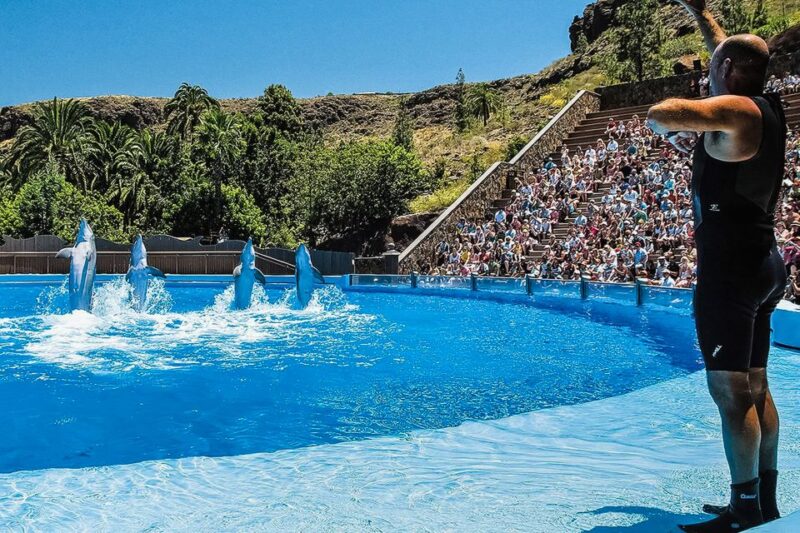 Maspalomas: Palmitos Park Ticket with Dolphin and Bird Shows - Reviews and Ratings: What Visitors Appreciate Most