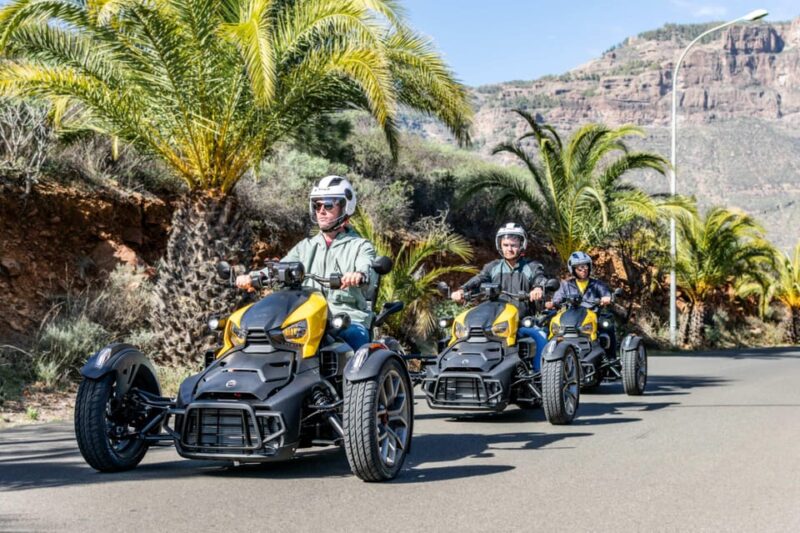 Maspalomas: Ryker Moto Tour to Fataga (Mountain buggy) - Discover Gran Canaria’s Mountains with a Ryker Mountain Buggy Tour from Maspalomas