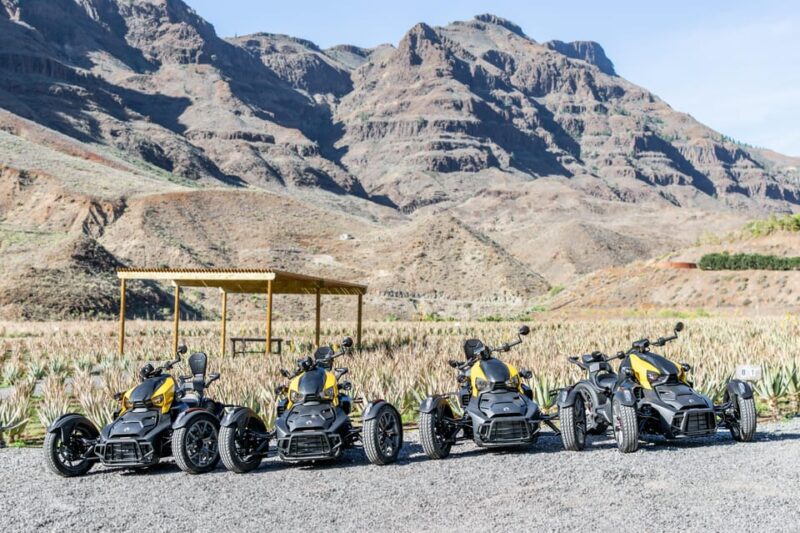 Maspalomas: Ryker Moto Tour to Fataga (Mountain buggy) - Visiting the Aloe Vera Plantation and Learning about Its Benefits