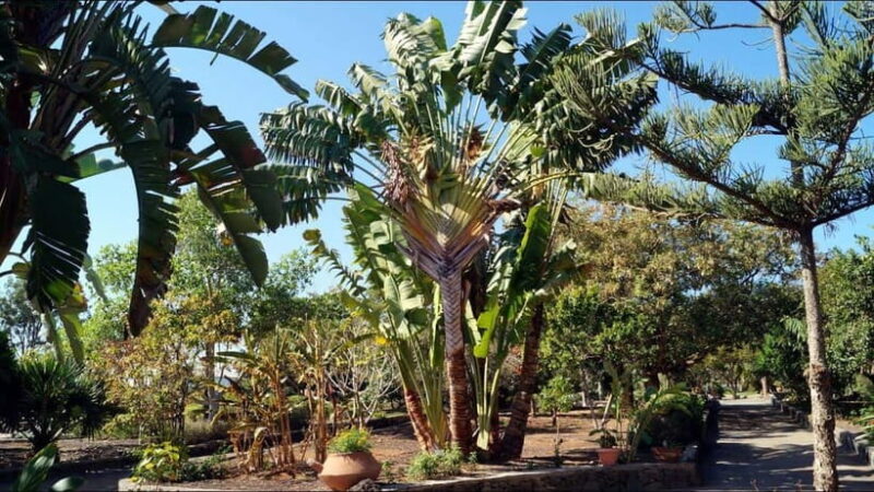 Maspalomas: Sunset E-Scooter Chopper 2 seat Guided Tour - Additional Inclusions and What’s Not Covered