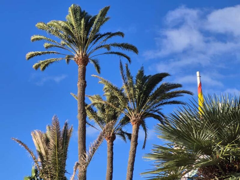 Maspalomas: Sunset Walking Tour with Lighthouse Views - Exploring the Punta Mujeres Settlement and Guanche Heritage