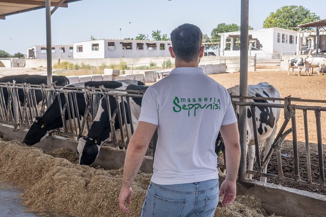 Masseria Seppunisi Tour - Mozzarella and Burrata experience - The Guides and Overall Tour Atmosphere