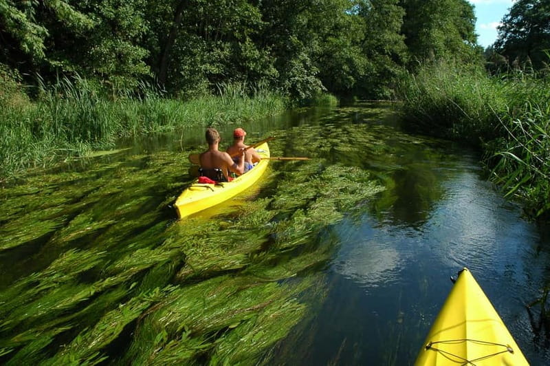 Masurian Lake District: Canoe and Sailing Tour from Warsaw - Canoeing on the Kruty River: Europes Beautiful Canoe Route