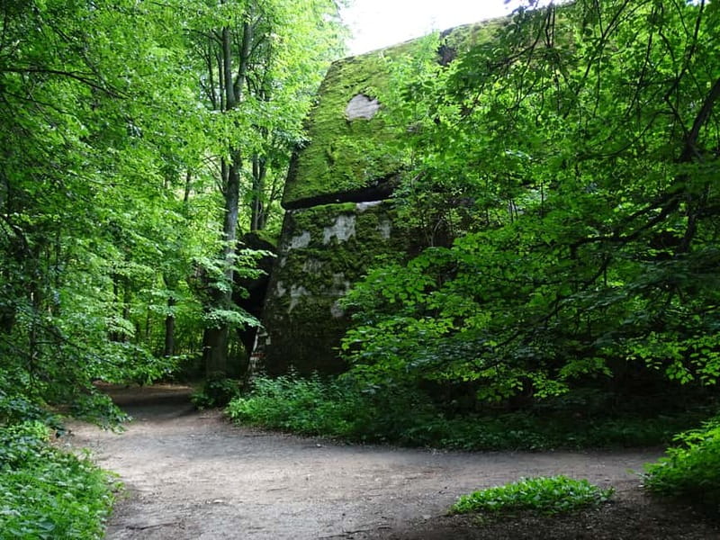 Masurian Lake District: The Wolfs Lair and Yacht Tour - Comparing Similar Masurian Lake District Experiences