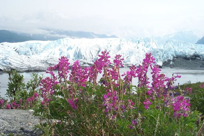 Matanuska Glacier Winter Tour - Enjoying Lunch with Glacier Views