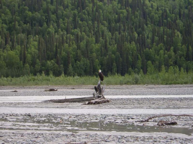 Matanuska River Scenic Float - The Calm Waters of Matanuska River
