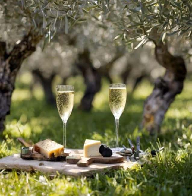 Matera: Aperitif Truffles and Champagne under the olive tree - Key Points