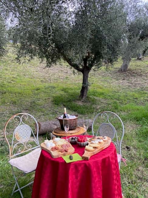 Matera: Aperitif Truffles and Champagne under the olive tree - Who Will Love This Tour?