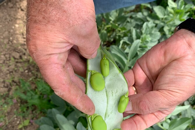 Matera Cooking Class - Cooking in a Rustic Kitchen Setting