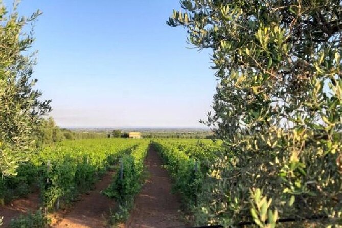 Matera half day - Practical Details: Meeting Point, Timing, and Accessibility