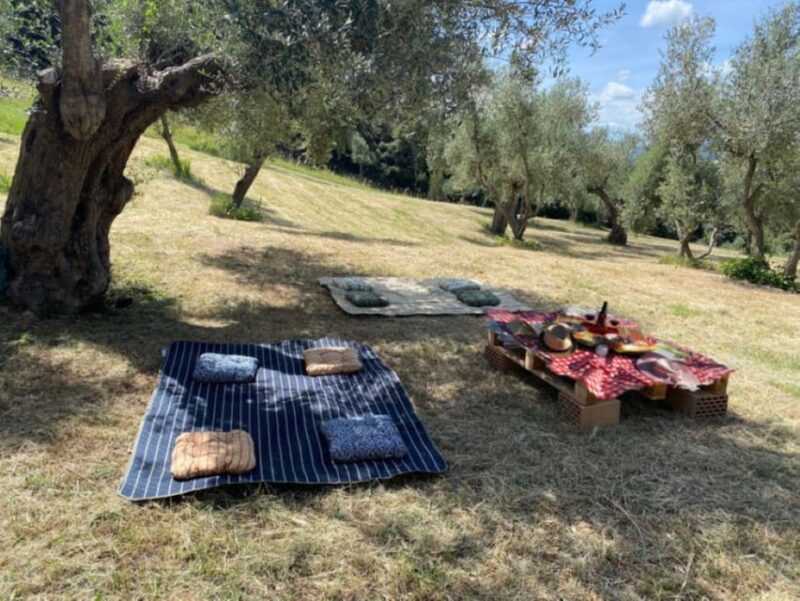 Matera: Pic-Nic under the Centuries-Old Olive Trees - Matera: Pic-Nic under the Centuries-Old Olive Trees