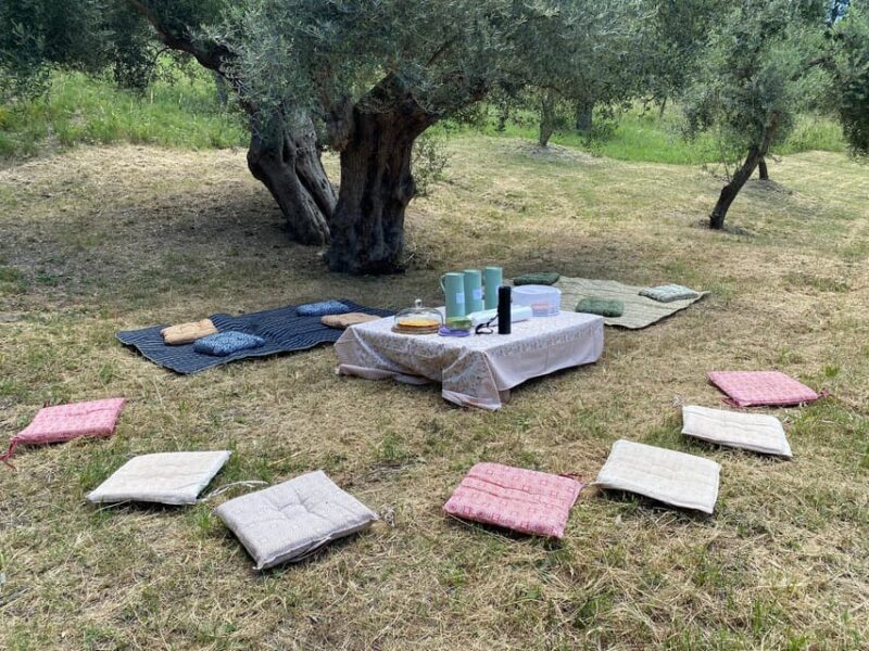 Matera: Pic-Nic under the Centuries-Old Olive Trees - Explore the Olive Grove in Basilicata