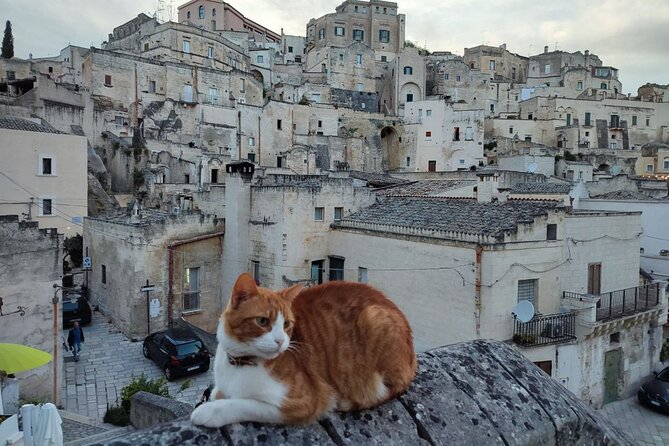 Matera Underground Cultural Sassi Tour - Walking through the Sassi of Matera