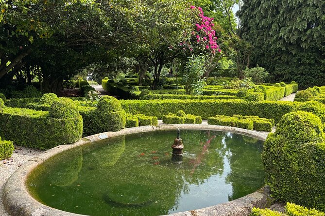 Mateus Palace, History, Art and Douro Wines - Review Summary and Feedback