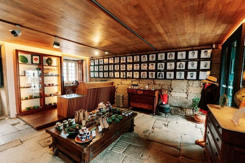 Mateus Palace - In the Footsteps of Wine History - The Experience Provider and Booking Options