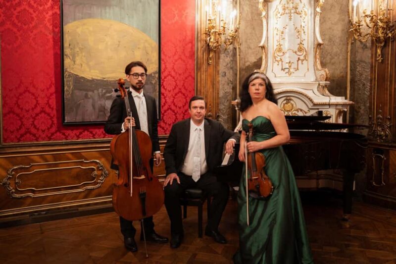 Matinee concert at Palais Schönborn - Booking and Flexibility Options
