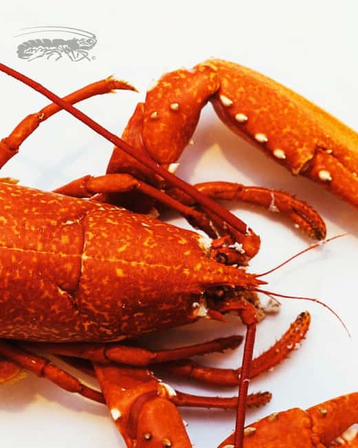 Matosinhos: A Gastronomic Experience at a Luxury Seafood Restaurant. - Convenient Pickup and Return for a Hassle-Free Experience