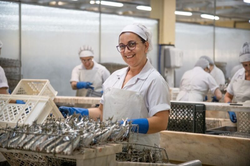 Matosinhos: Conservas Pinhais Factory Tour - Discover the Unique Sardine Canning Heritage in Matosinhos