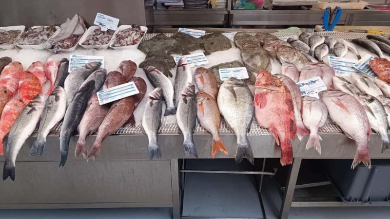 Matosinhos: Have lunch with fresh fish you choose at the market - Who Would Enjoy This Market Fish Lunch Tour?