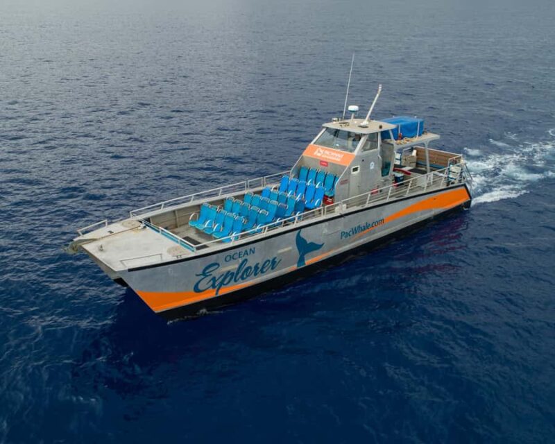 Maui: 3-Hour Molokini Snorkel Experience - Exploring Molokinis Marine Secrets with Expert Guides