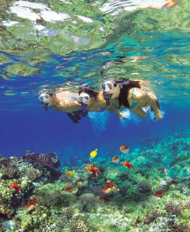 Maui: 3-Hour Molokini Snorkel Experience - The Logistics: From Check-In to Return