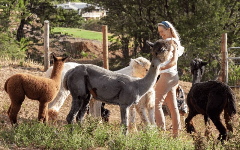 Maui: Alpaca Farm Visit with Hands-On Activities - Traditional Spinning Wheel Demonstration