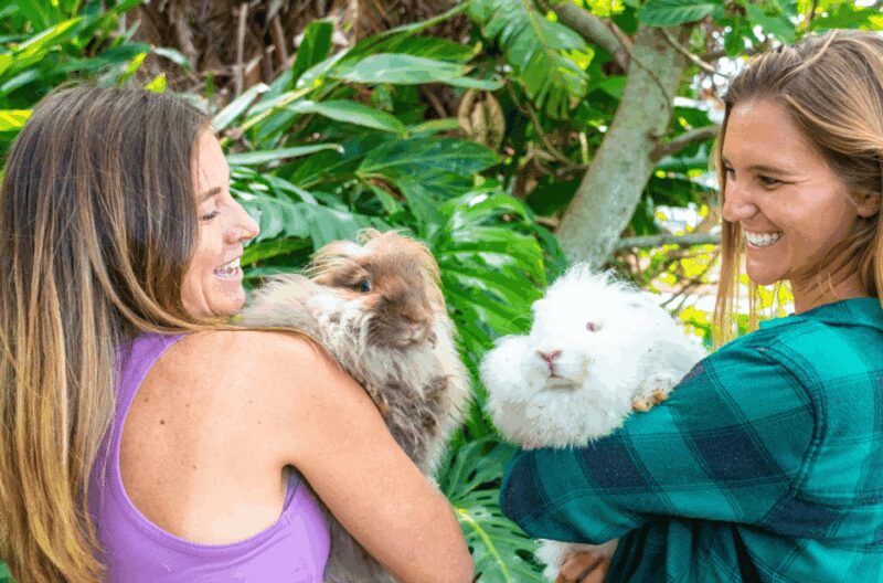 Maui: Alpaca Farm Visit with Hands-On Activities - Visit the Adorable Angora Bunny Village