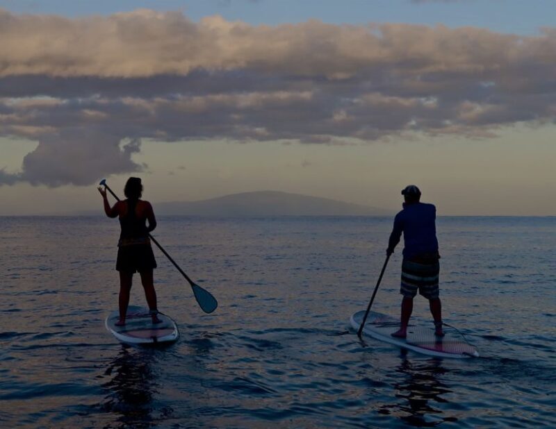 Maui: Beginner Level Private Stand-Up Paddleboard Lesson - Comparing This Tour to Other Maui Experiences