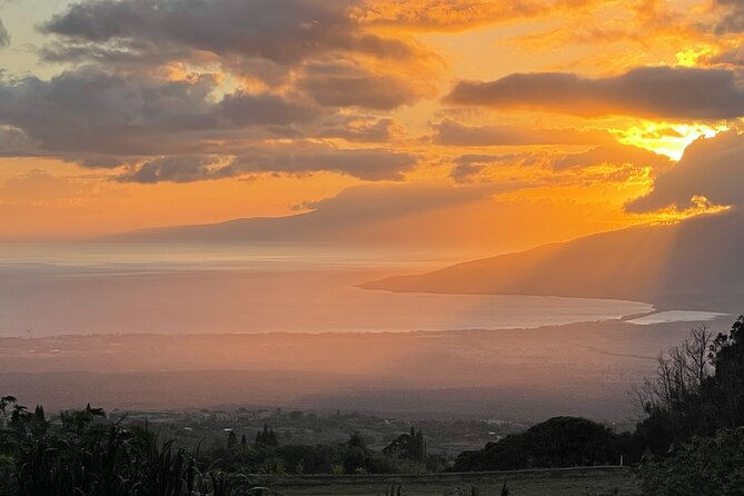 Maui Birdwatching at Maui Bird House - Maui Bird House: Prime Birdwatching Near Haleakala