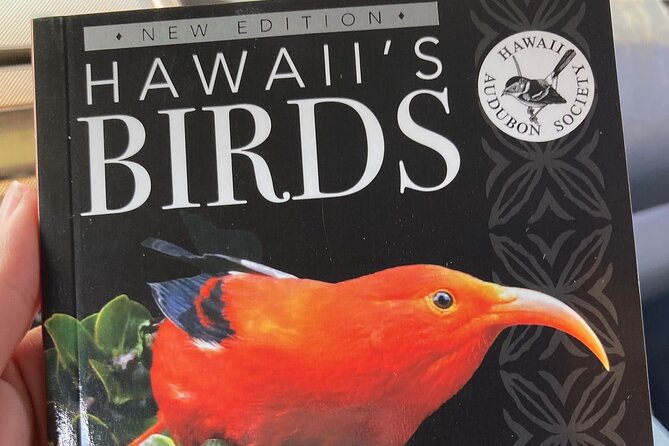 Maui Birdwatching at Maui Bird House - Weather Considerations and Cancellation Policy