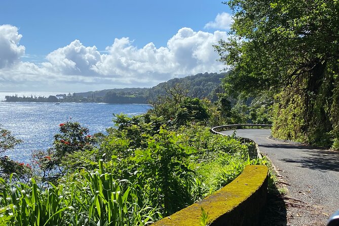 Maui by Storm: Epic Private Luxury Road to Hana Adventure Tour - Waterfalls, Pools, and Nature Experiences