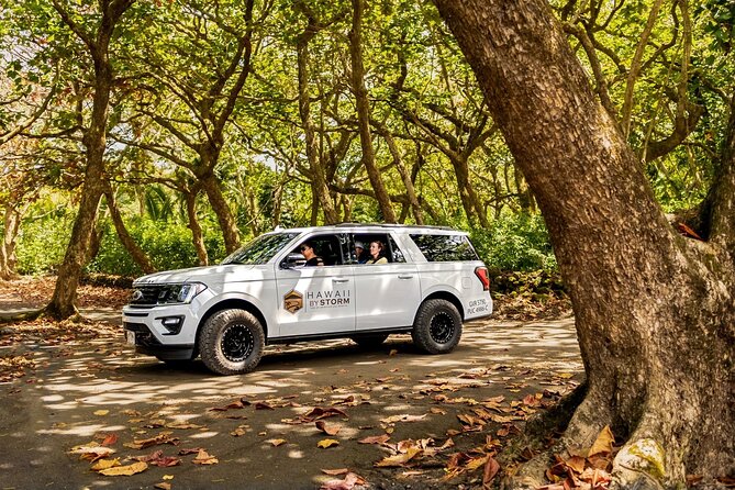 Maui by Storm: Epic Private Luxury Road to Hana Adventure Tour - Dining with a Local Touch: Koki Beach and Huli Huli Chicken