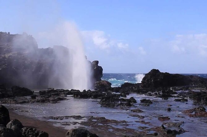 Maui Coast Slingshot Tour from Kihei - Discovering Maui’s Agricultural Heritage at the Plantation
