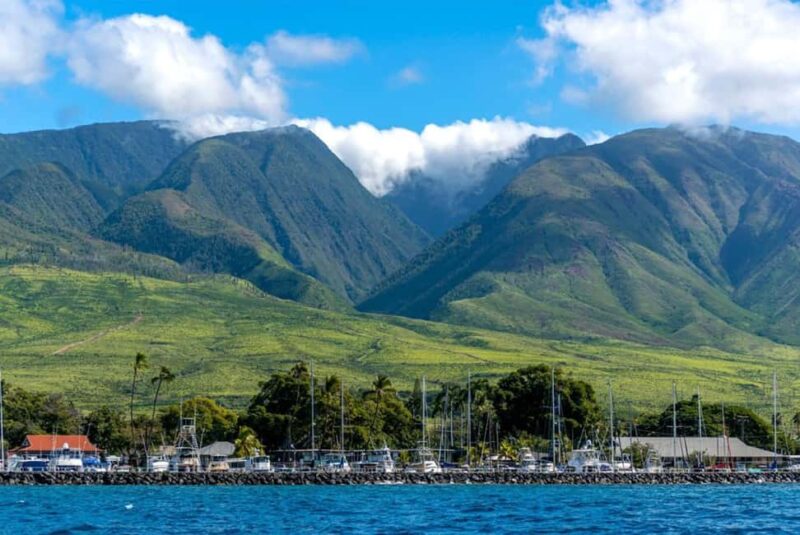 Maui: Eco-Raft Dolphin Watch Tour with Snacks - Feedback on Guides and Overall Satisfaction