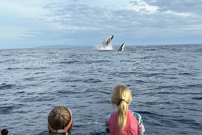 Maui Eco-Raft: Turtle Snorkel + Whale Watch Tour (*New 2n1 ) - Whale Watching with Marine Naturalists and a Hydrophone
