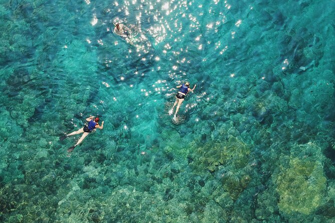 Maui Eco-Raft: Turtle Snorkel + Whale Watch Tour (*New 2n1 ) - Practical Considerations and Restrictions