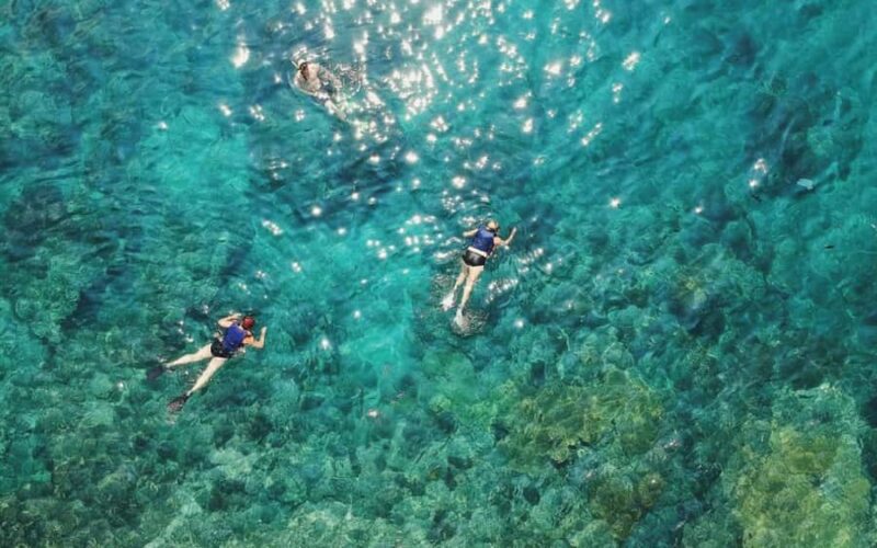 Maui Eco Raft: Turtle Snorkel + Whale Watch(Semi-Private) - The Itinerary: Snorkel and Whale Watch in One Trip