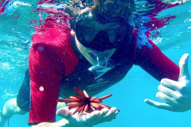 Maui: Guided Snorkeling for Beginners with Flotation Wetsuit - Key Points
