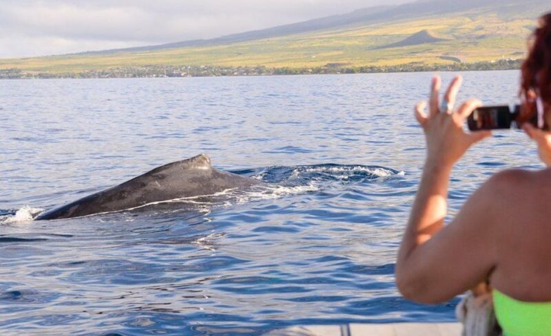 Maui: Guided Whale Watching Tour on Eco Raft - The Eco-Raft: An Environmentally Responsible Choice