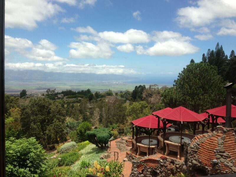 Maui: Haleakala National Park Sunrise Tour - Who Will Appreciate This Tour Most