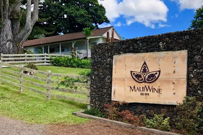 Maui Haleakala Volcano Summit Slingshot Tour from Kihei - Unique Features of the Tour Experience