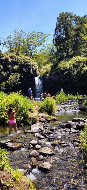 Maui: Halfway to Hana Black Sand Beach & Turtles Tour - Pua A Kaa Wayside and Waterfall Dip Option
