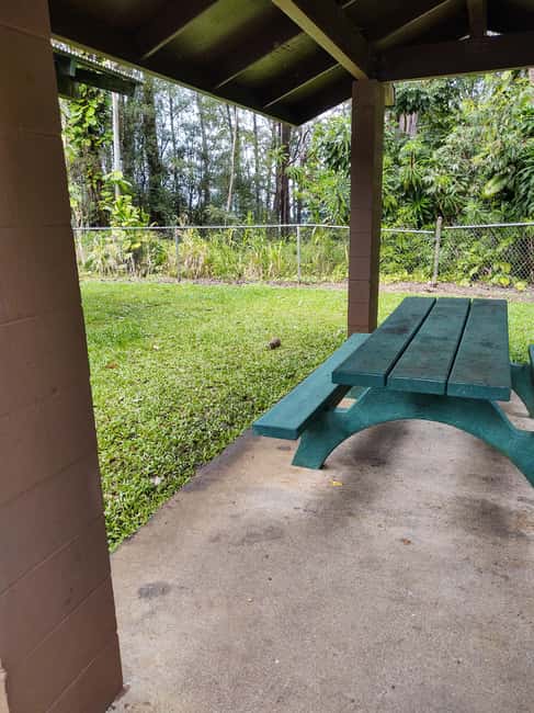 Maui: Halfway to Hana Black Sand Beach & Turtles Tour - Encountering Hawaiian Green Sea Turtles