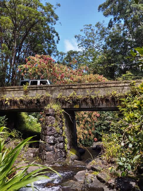 Maui: Halfway to Hana Black Sand Beach & Turtles Tour - Inclusions, Pricing, and Practical Details