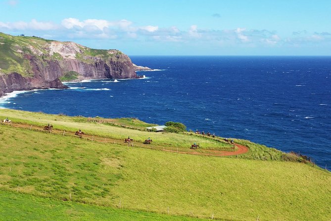 Maui Horseback Adventure at Circle M Ranch With Real Cowboys - Scenic Coastline Riding with Ocean Views